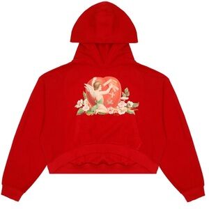 🌟NWOT🌟Boys lie Red Hoodie angel hoodie